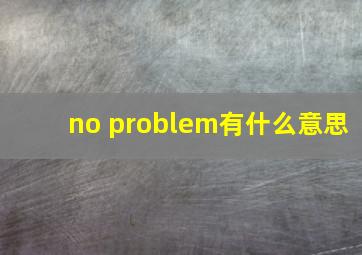 no problem有什么意思